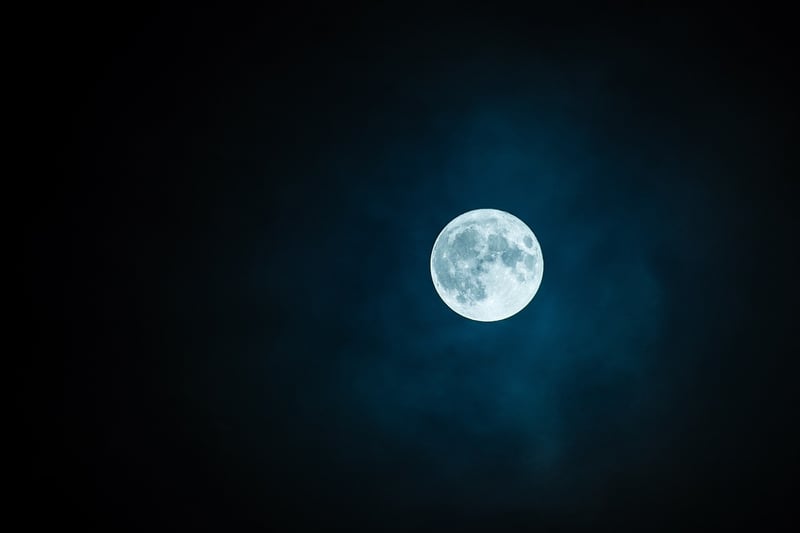 Lunar Gardens